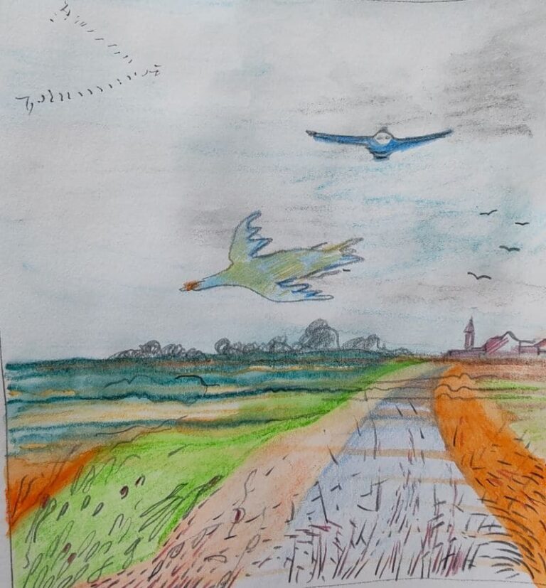 Unbekannte Flugobjekte