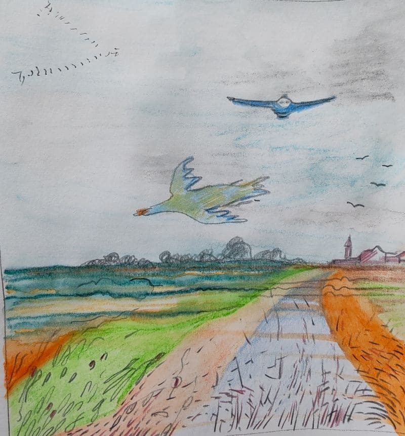 Unbekannte Flugobjekte