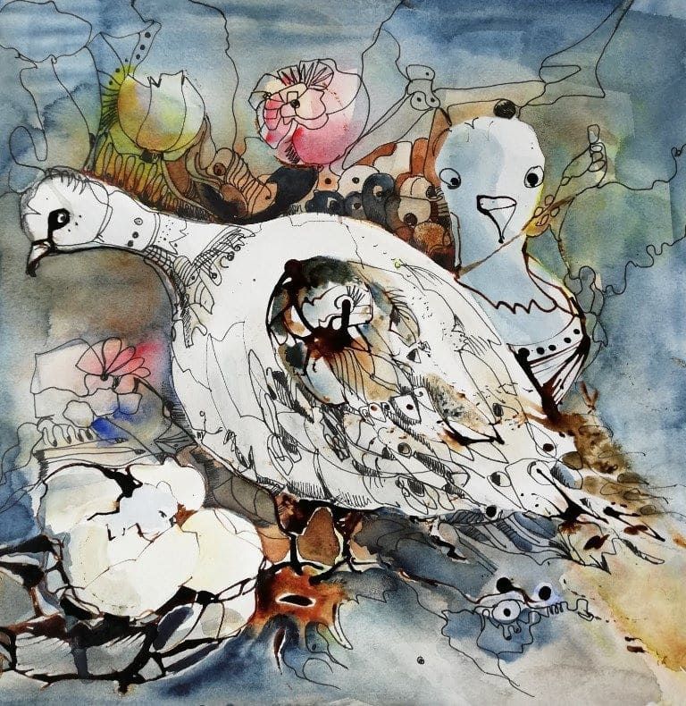 Taube zeichnung aquarell